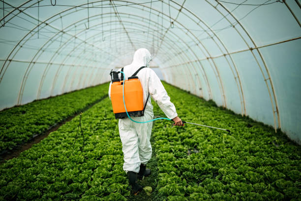 Best Emergency Pest Control  in Reedley, CA