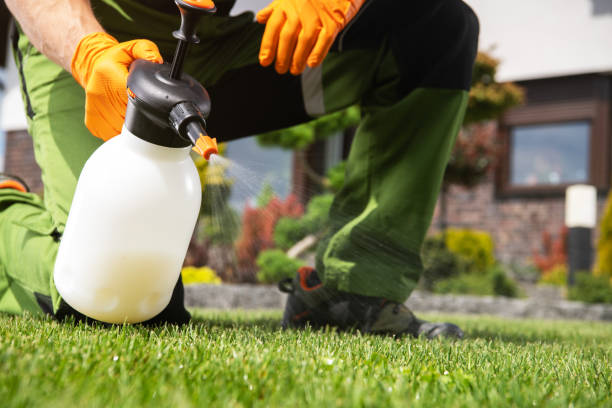 Insect Control in Reedley, CA