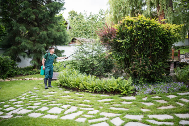 Best Pest Control Near Me in Reedley, CA