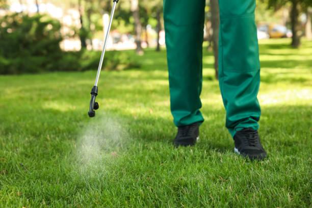 Best Pest Control for Restaurants  in Reedley, CA