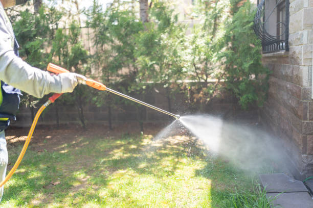 Best Pest Removal Services  in Reedley, CA