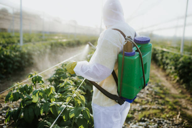 Best Flea Control Services  in Reedley, CA
